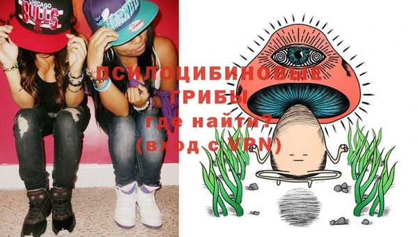 apvp Новозыбков