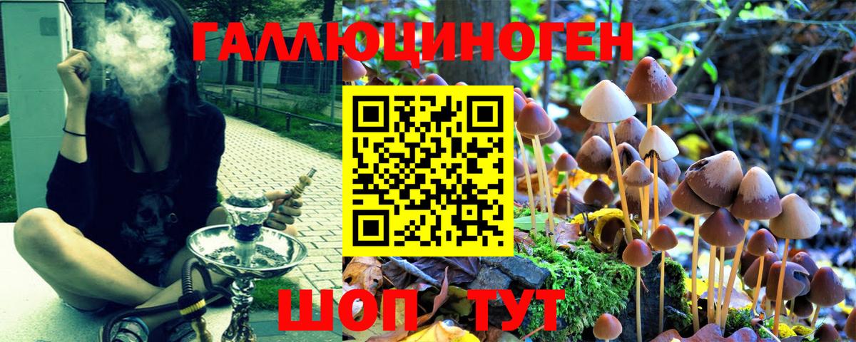 Сальск  Псилоцибиновые грибы Psilocybe  Вход с VPN  Псилоцибиновые грибы ЛСД 